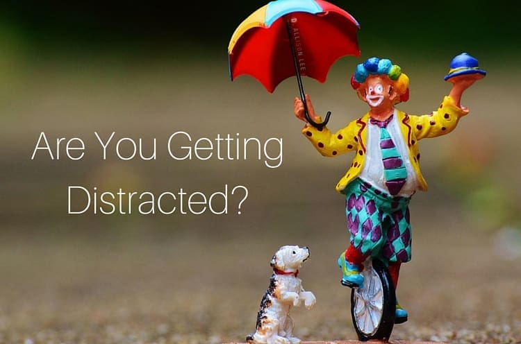 Don't get distracted by someone else's circus!